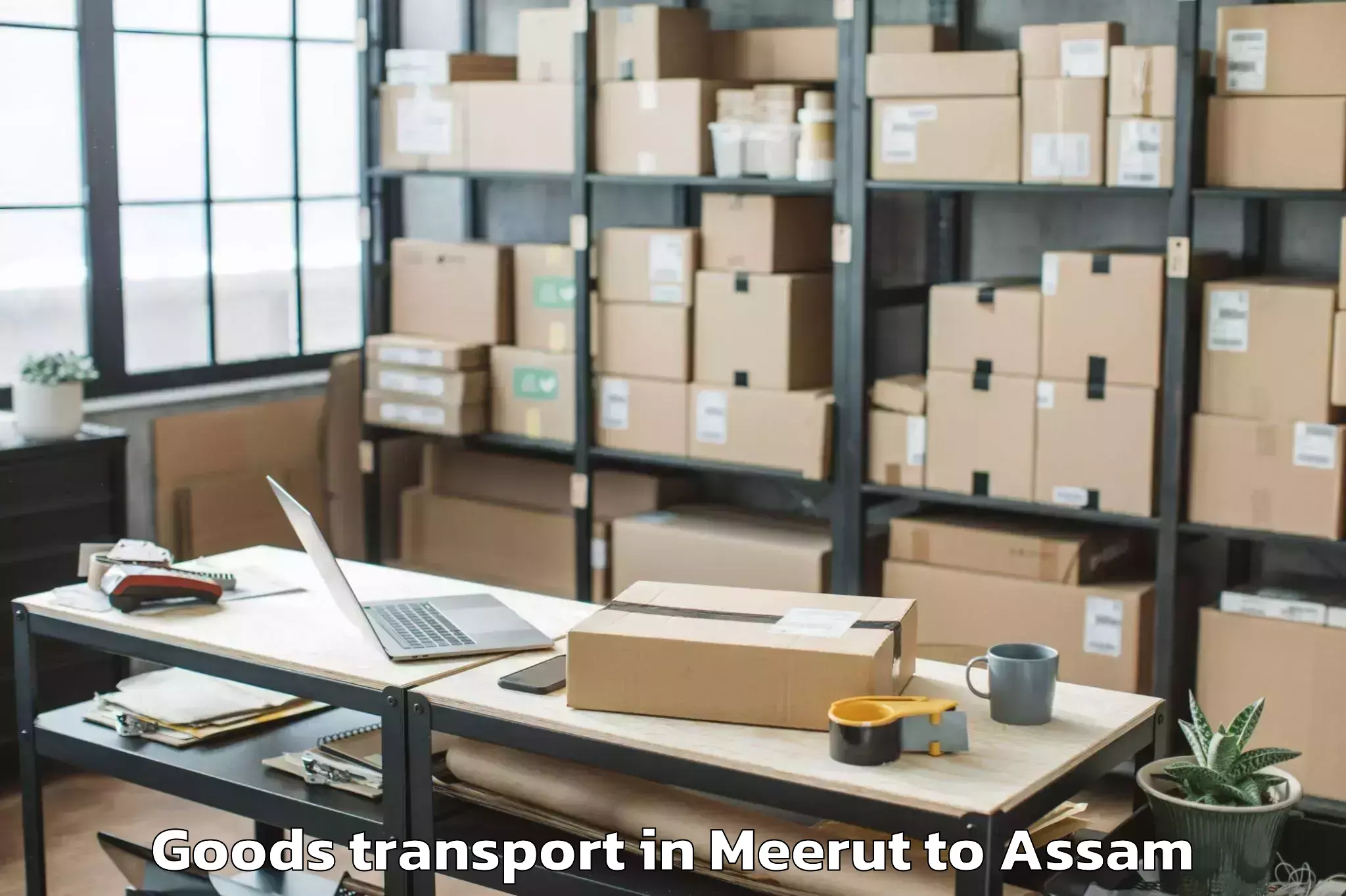 Affordable Meerut to Abhilashi University Guwahati Goods Transport